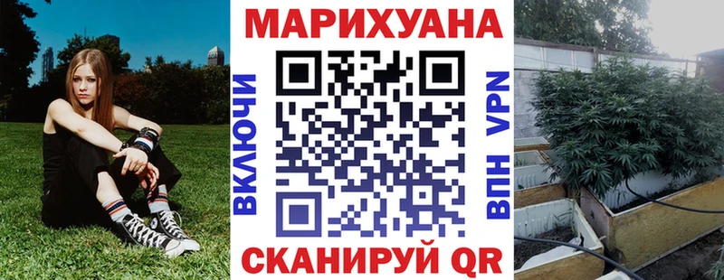 kraken зеркало  сайты даркнета Telegram  Бошки марихуана семена  Циолковский 